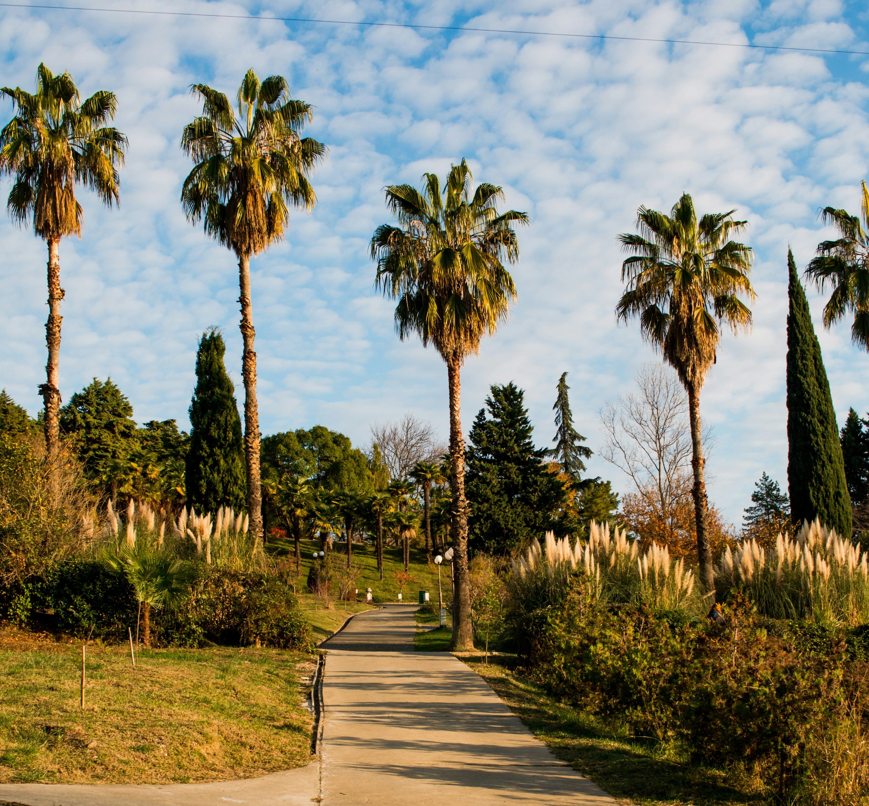 silverrock park