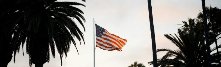 american flag and palm trees